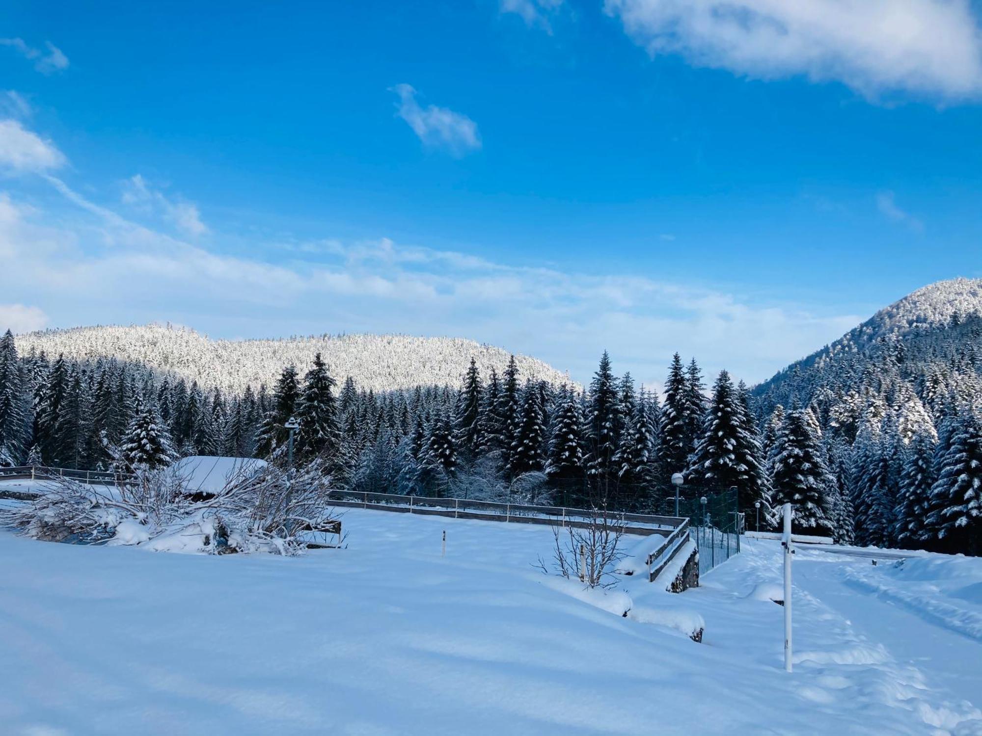 Le Perchoir Du Grand Valtin - Gite 5 Personnes - Altitude 830 Ban-sur-Meurthe-Clefcy Exteriér fotografie