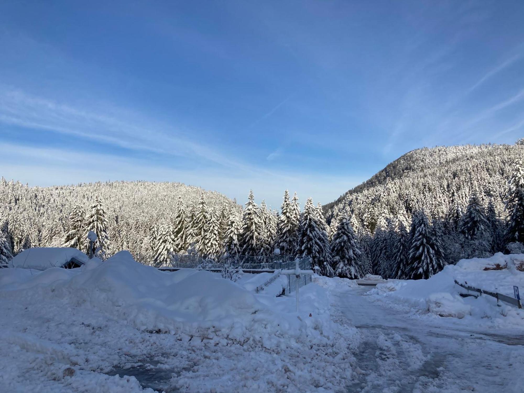 Le Perchoir Du Grand Valtin - Gite 5 Personnes - Altitude 830 Ban-sur-Meurthe-Clefcy Exteriér fotografie
