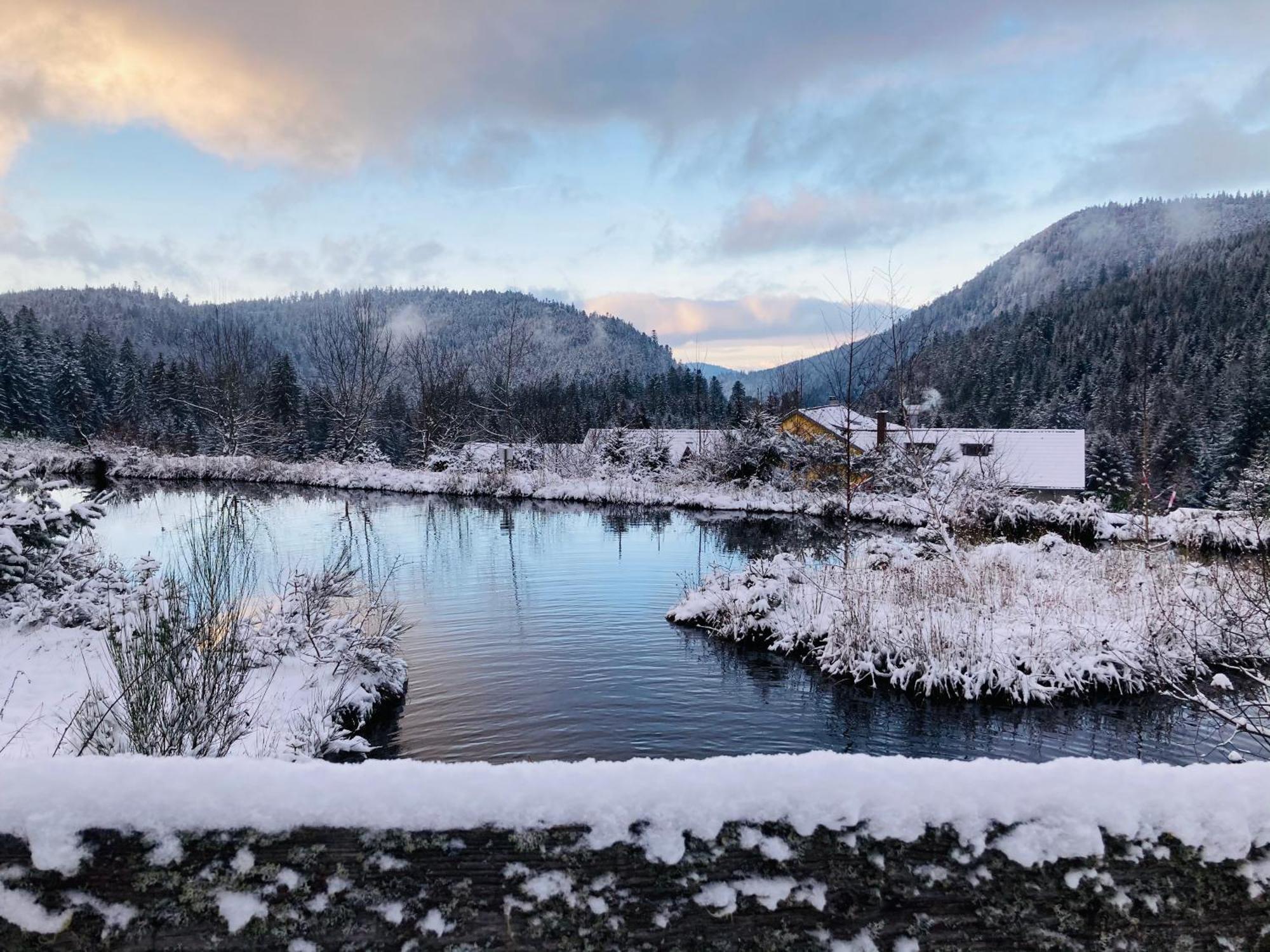 Le Perchoir Du Grand Valtin - Gite 5 Personnes - Altitude 830 Ban-sur-Meurthe-Clefcy Exteriér fotografie