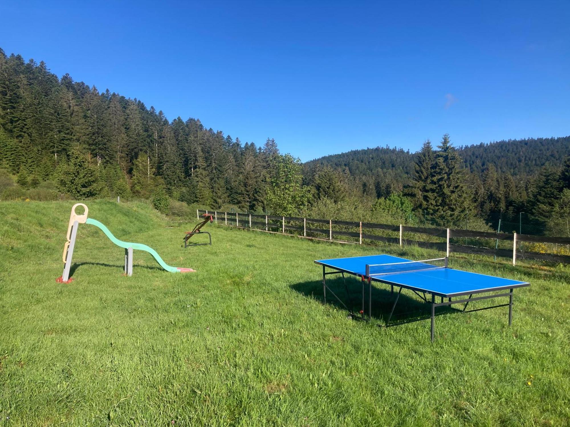 Le Perchoir Du Grand Valtin - Gite 5 Personnes - Altitude 830 Ban-sur-Meurthe-Clefcy Exteriér fotografie
